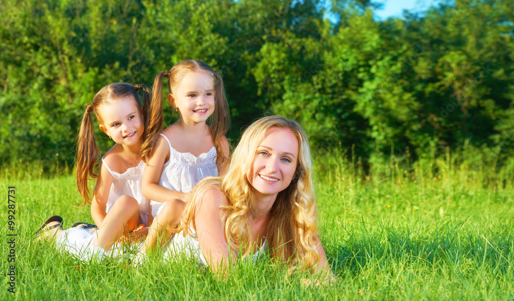happy family mother and children twin sisters on meadow in summe happy family mother and children twin sisters on meadow in summe