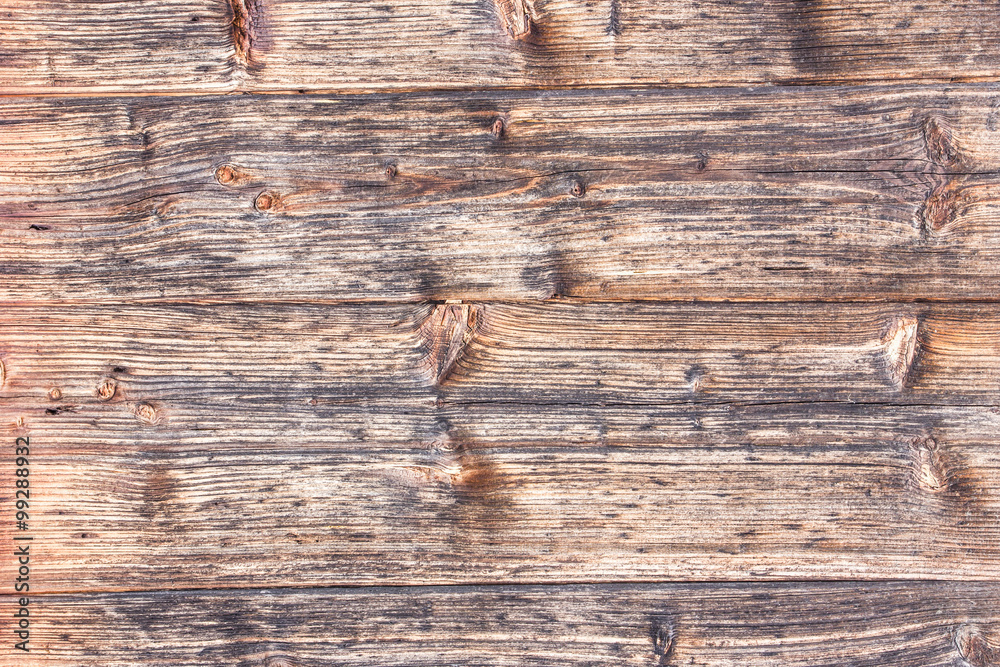 Fototapeta premium Grunge wooden wall texture.