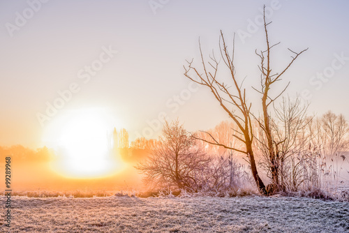 Romantischer Sonnenaufgang im Winter © schulzfoto