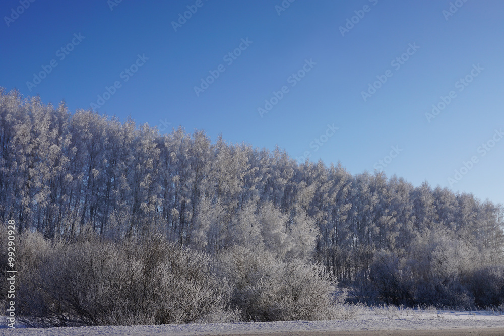 landscape in winter landscape in winter