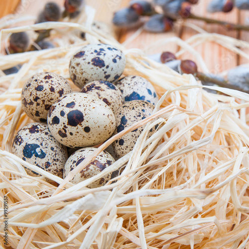 Quail eggs in a straw nest