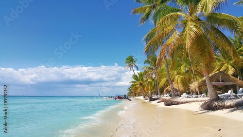 Fototapeta Naklejka Na Ścianę i Meble -  Saona island in Carribean sea, Dominican Republic. Beautiful beach with coconut palm trees.