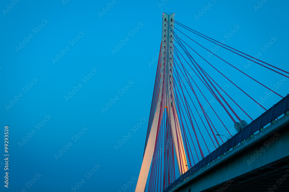 Suspension bridge over Wisla in Gdansk Poland.