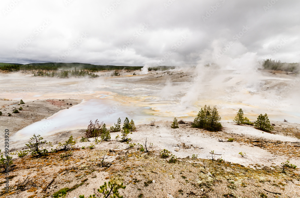 Norris Geyser Basin - Yellowstone National Park - Wyoming - USA