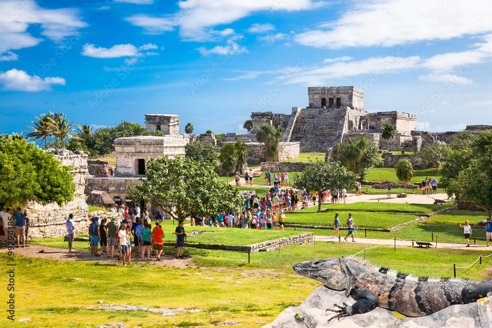 Fototapeta premium Iguana on the ruins of Tulum in Mexico.