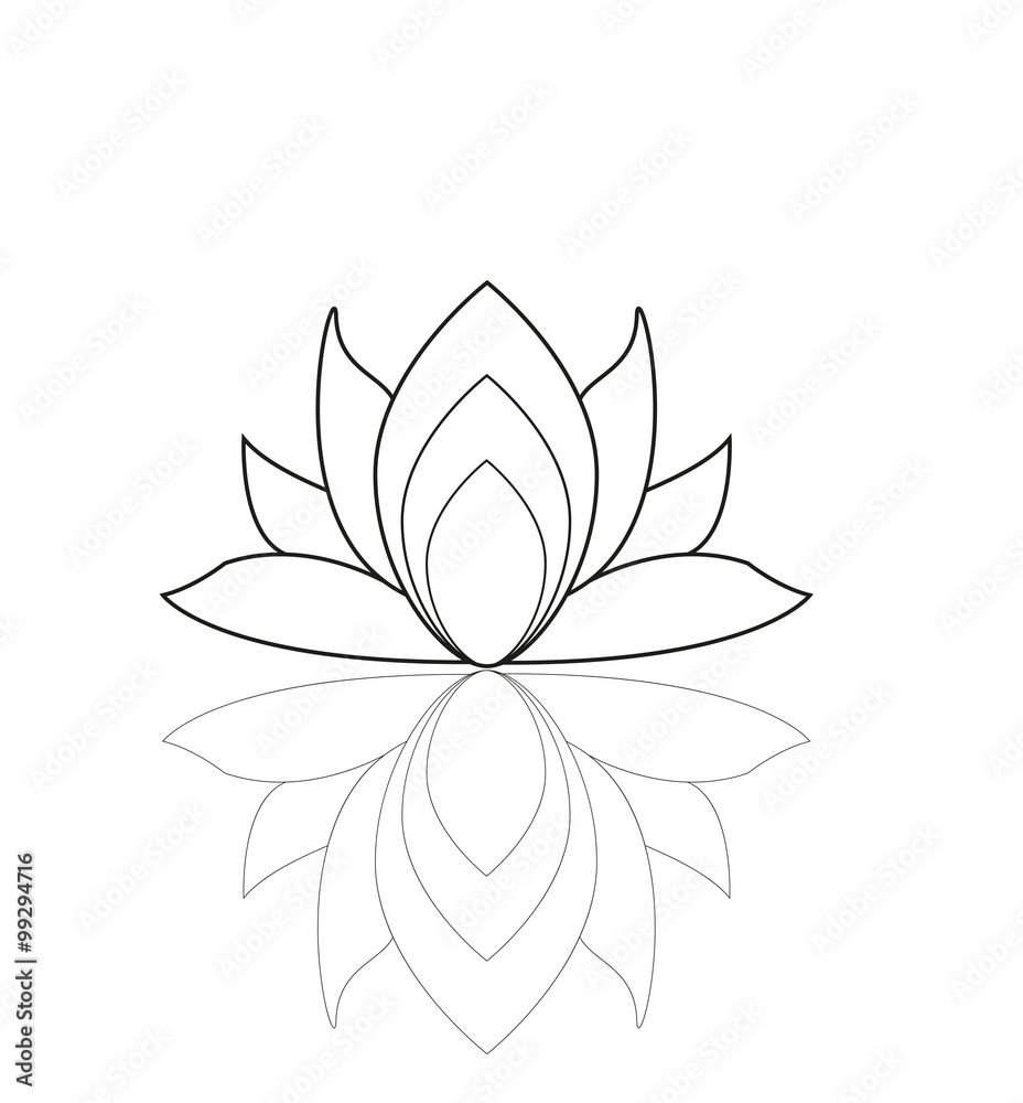 Lotus flower isolated on white vector, fiore di loto vettoriale isolato su sfondo bianco Lotus flower isolated on white vector, fiore di loto vettoriale isolato su sfondo bianco