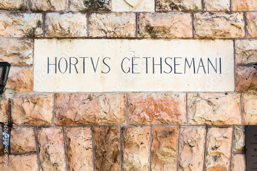 Gethsemane Garden on Mount of Olives, Jerusalem