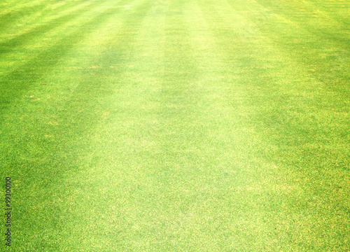 Golf Courses green lawn © scenery1