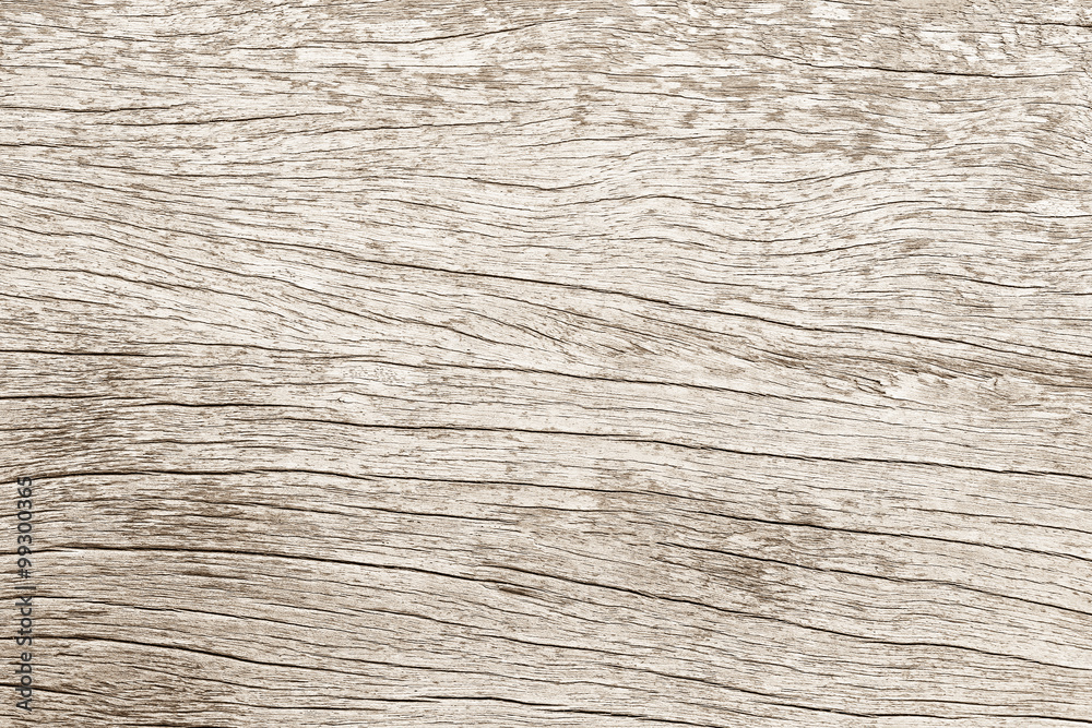 Obraz premium White old wood pattern texture background. Wooden floor cracks of tabletop. Dry wood board sepia tones. Desk made of wood and natural textures.