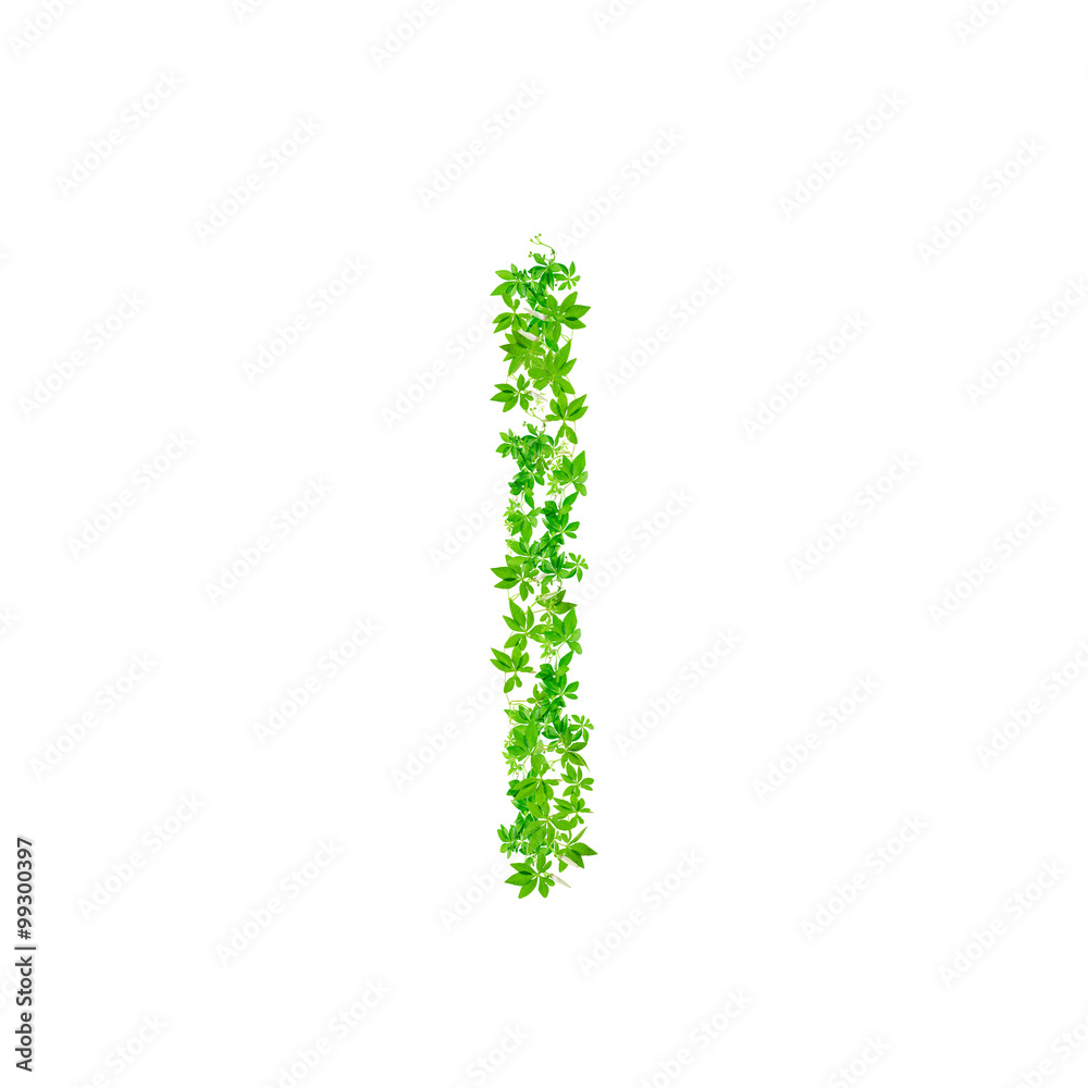 Letter I ,  beautiful green leaves isolated on white background,