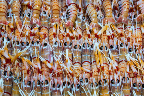Photography Open street fish market Kring prawn sydney