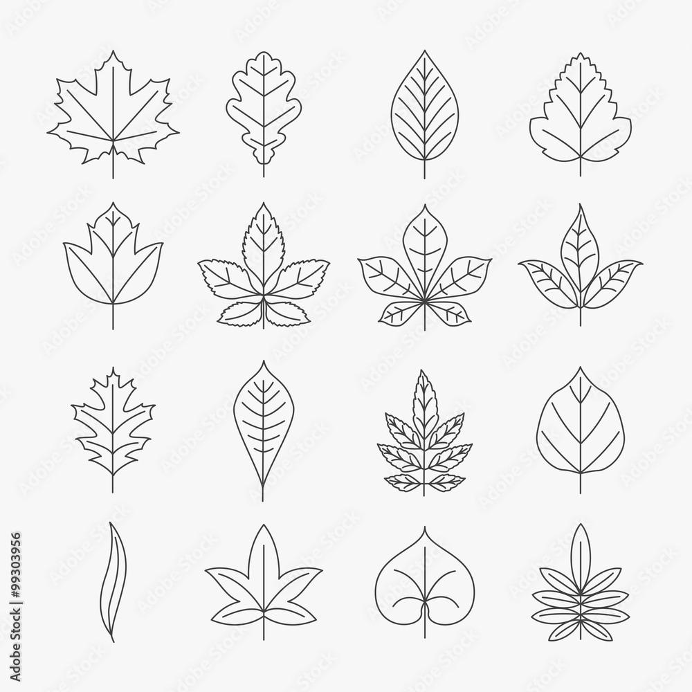 Leaf line icons vector set Leaf line icons vector set
