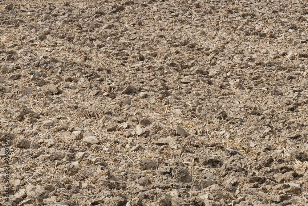 cultivated soil in the farmland cultivated soil in the farmland
