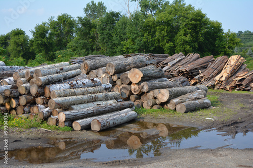 Pile of Logs
