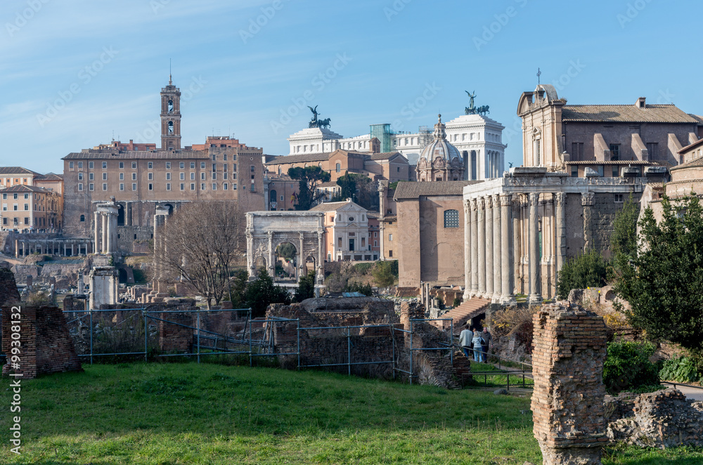 Ruins on the Palatine hill, historical part in Rome, Italy