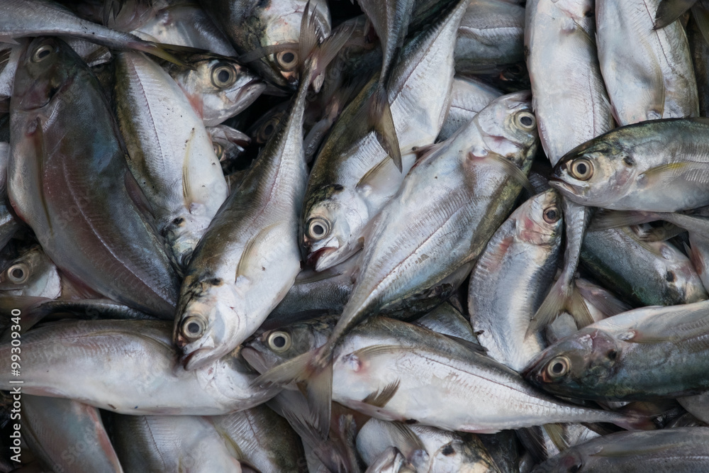 Obraz premium Fresh fish