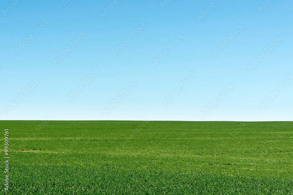 green field green field