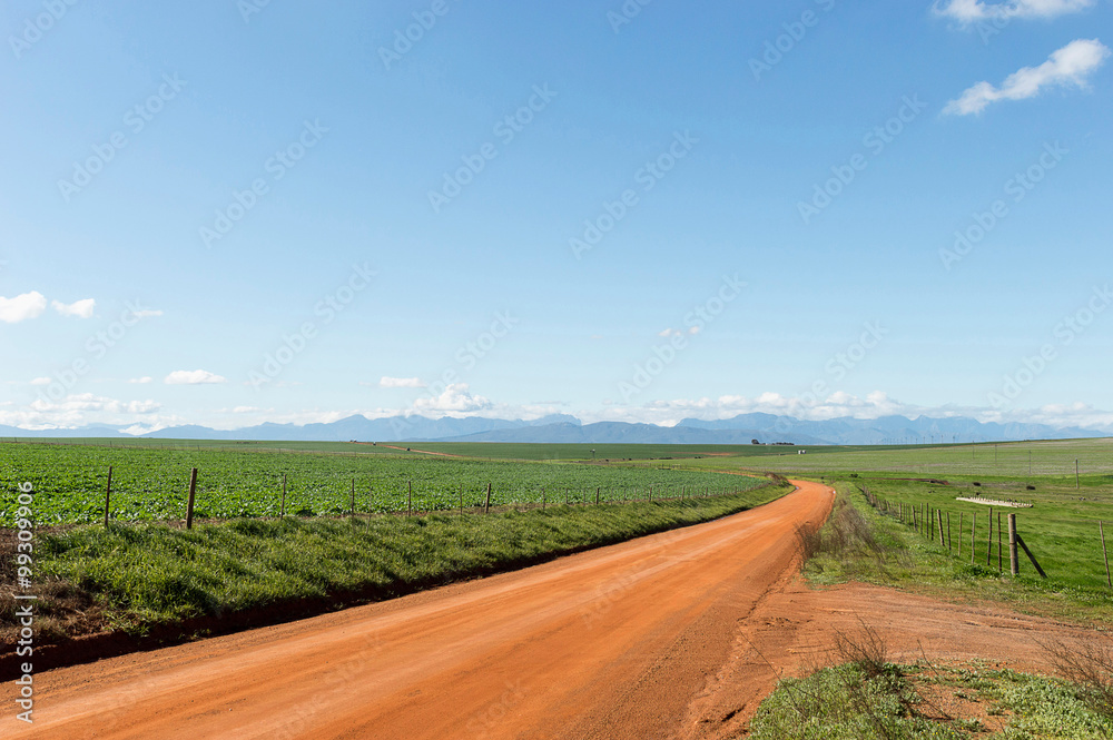 Fototapeta premium gravel road in green field