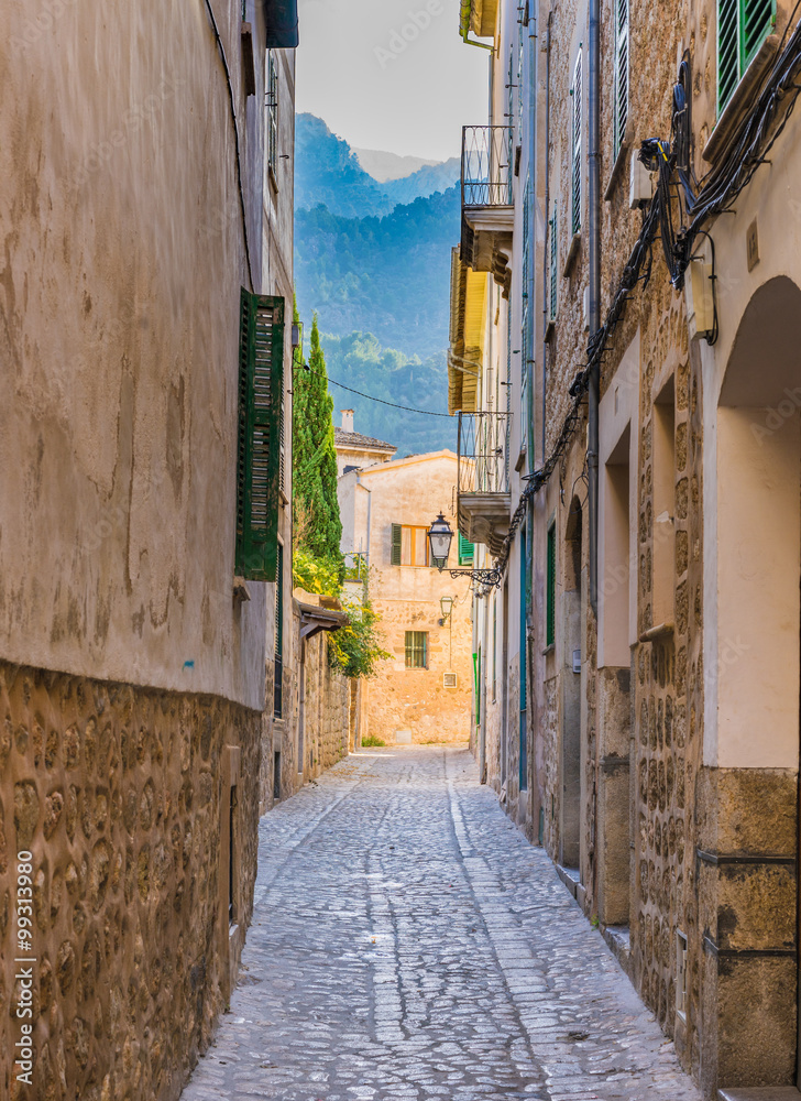 Obraz premium Aleja starej wsi