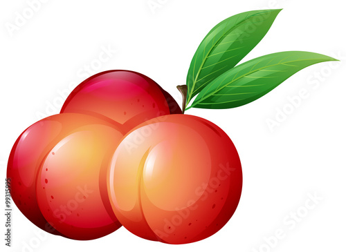 Fresh peaches with green leaves
