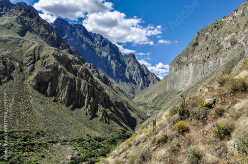 View with vertigo in Colca Canyon  Peru