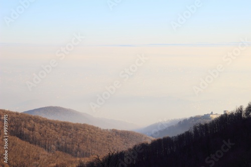 Winter foggy landscape 