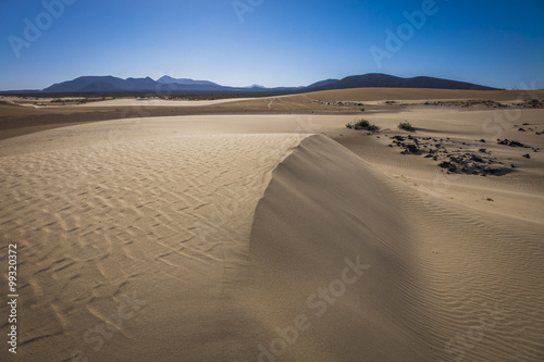 The Nature reserve  Park Natural  Corralejo  Fuerteventura  Cana