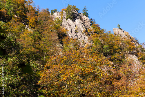 Bodetal Harz Harzer Hexen Stieg Blick auf die Felsen