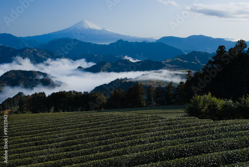 静岡市・吉原から望む富士山と茶畑