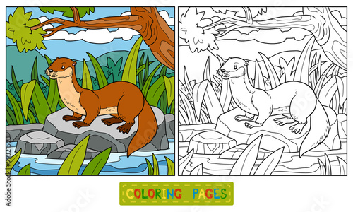 Coloring book (otter and background)
