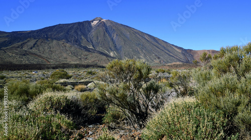 View of Teide National Park in Tenerife,Canary Islands.