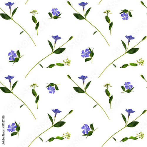 Periwinkle and wild flowers...