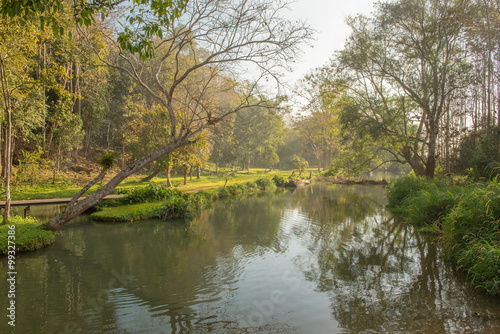 Nice scene with mountain river