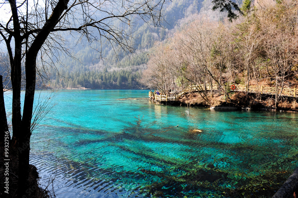 Naklejka premium Colorful lake in Jiuzhaigou, China