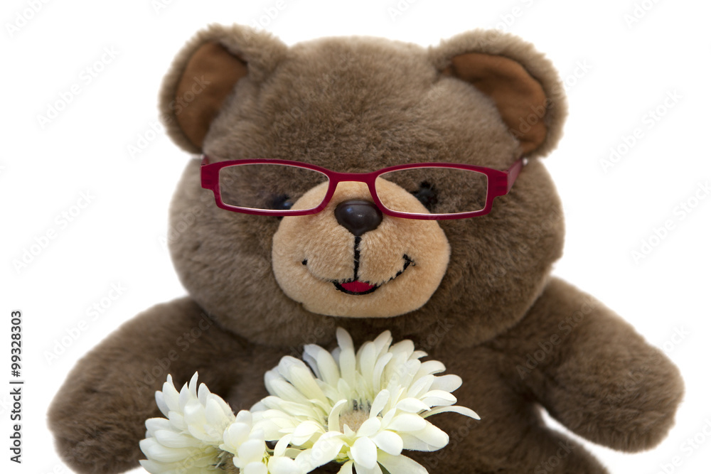vieil ours en peluche fleurs Stock Photo Adobe Stock