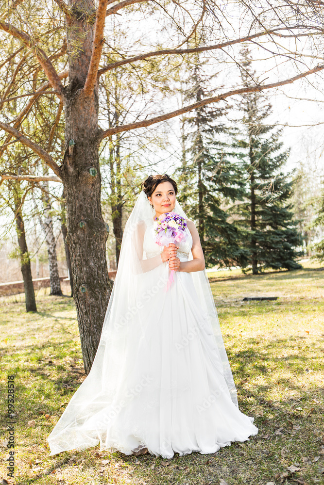 young brunette bride in the park on nature with a flowing veil. young brunette bride in the park on nature with a flowing veil.