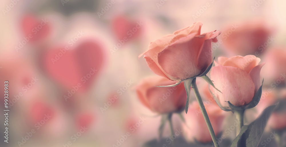 Happy valentine's day, fine daisy color tone design, Blur and Select focus background - obrazy, fototapety, plakaty 