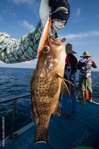fisherman holding a grouper on fishing boat in Andaman, Thailand