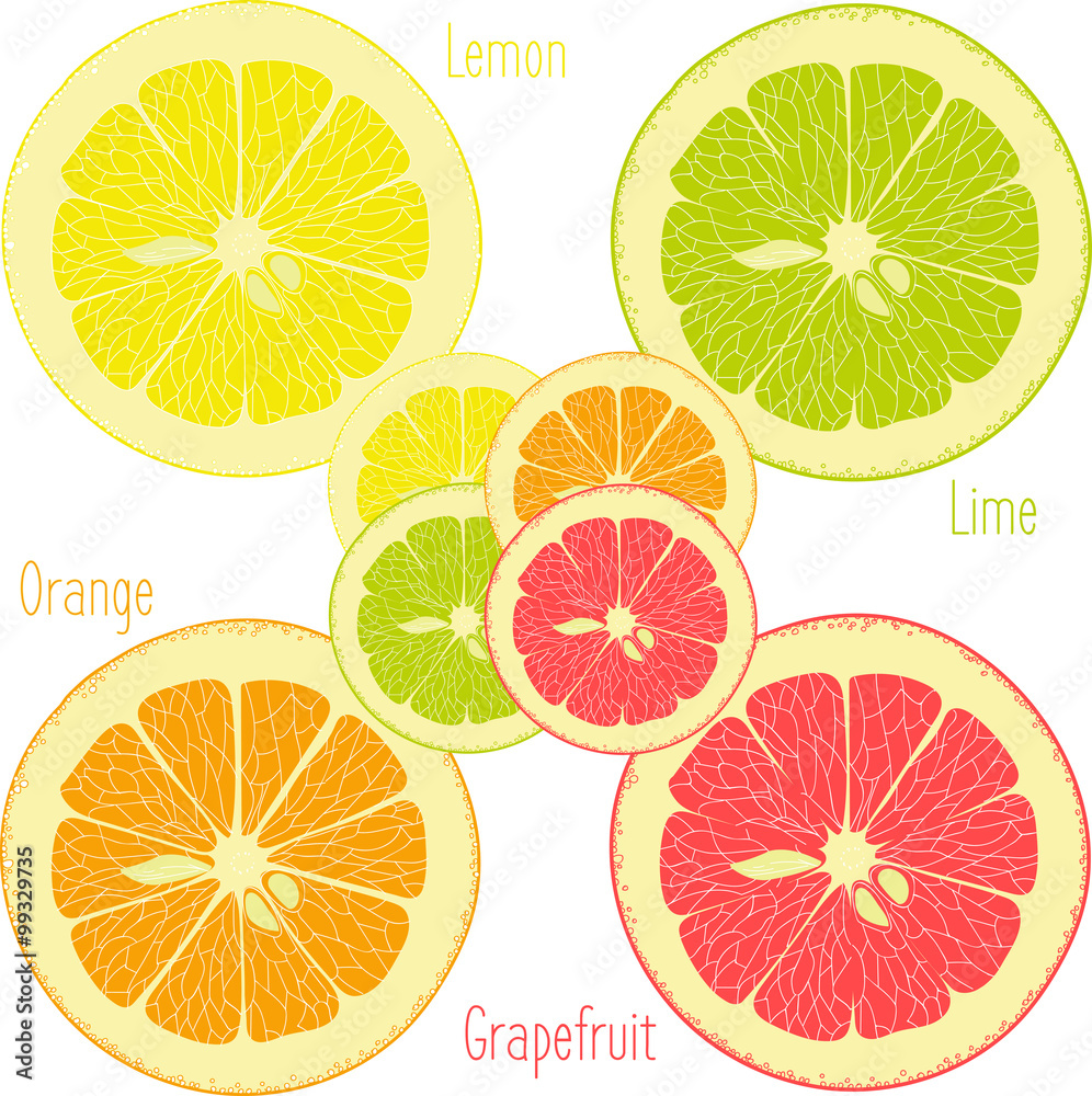 Fototapeta premium Lemon, lime, orange, pink grapefruit, pomelo on a transparent background