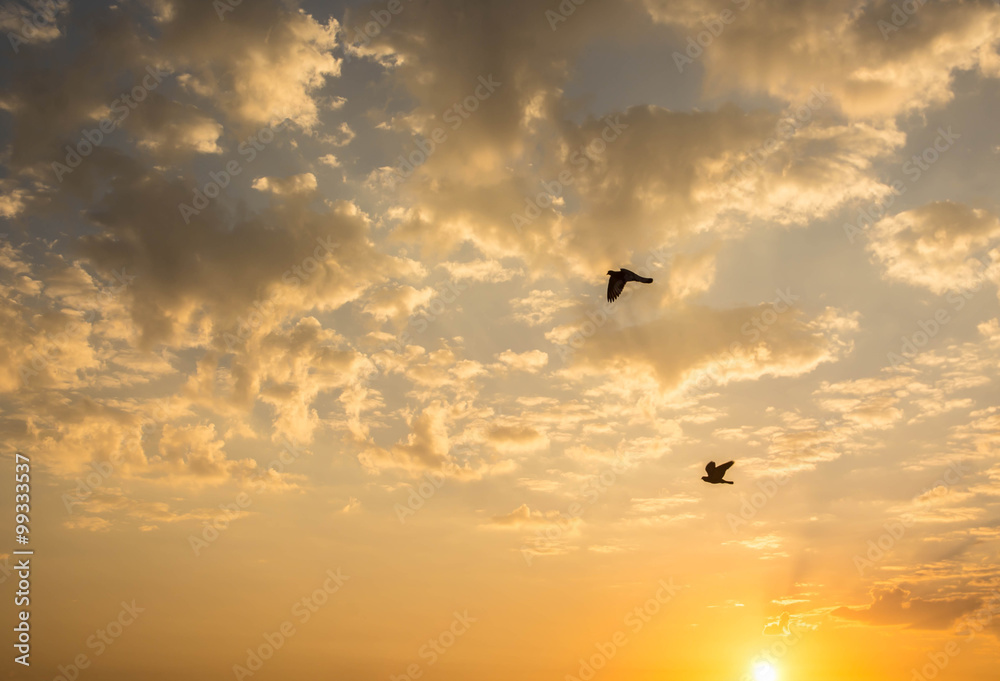 Beautiful sunrise over the river with beautiful cloud and flying birds