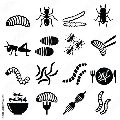 Edible worms and insects icons - alternative source on protein 