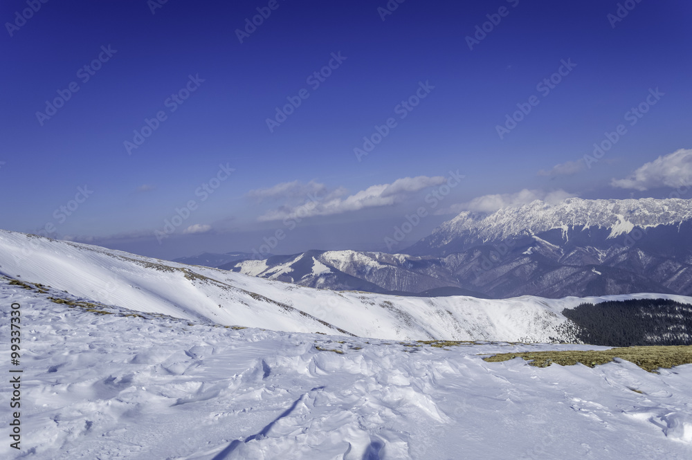 Snow Covered Trees in the Mountains. Winter Landscape.