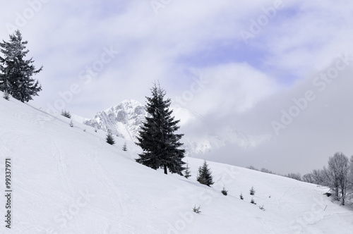 Snow Covered Trees in the Mountains. Winter Landscape. © zane38