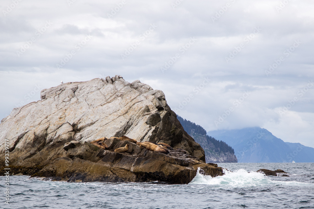 Kenai Fjords National Park Alaska ocean and rock