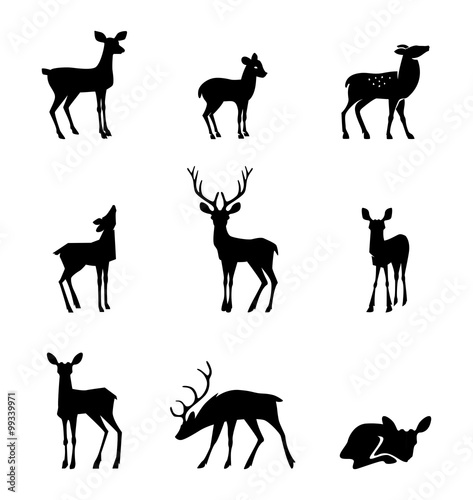 silhouette deer on white background 