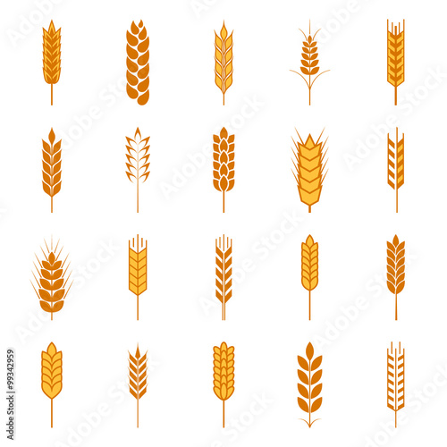 Set of simple wheat ears icons