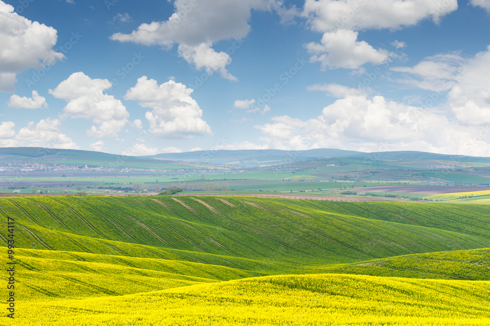 Fototapeta premium Beautiful sunny day, colorful landscape