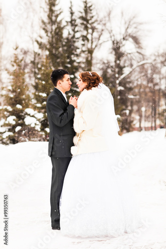 bride and groom in the winter park © satura_