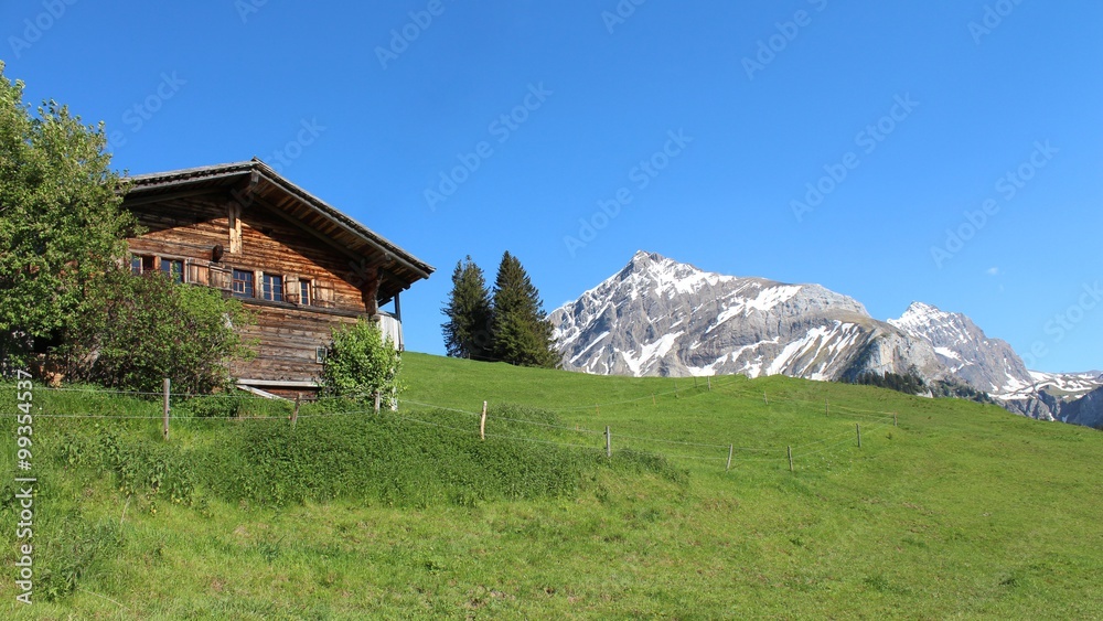 Old farmhouse, green meadow and Mt Spitzhorn