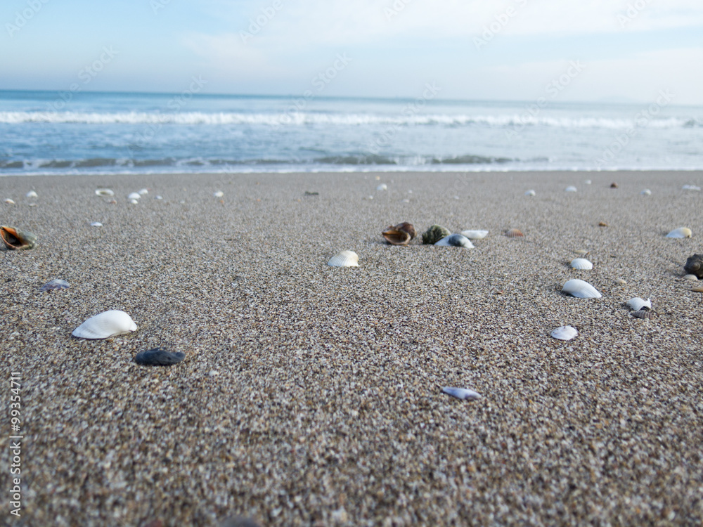 Blue sky and sea, Rakosi on the sand at sunset Blue sky and sea, Rakosi on the sand at sunset